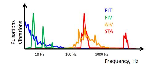 Excitation sources FIT, FIV, AIV, STA